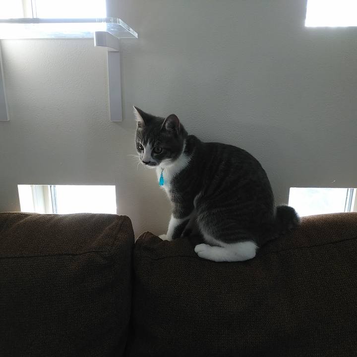 781e09a9 fb1f 4176 a23b 32cb3a07e1c9 1569391418988