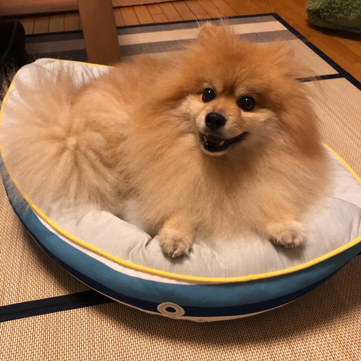 781e1258 7494 4534 a5a4 9c5b1fc834d1 1566268311036