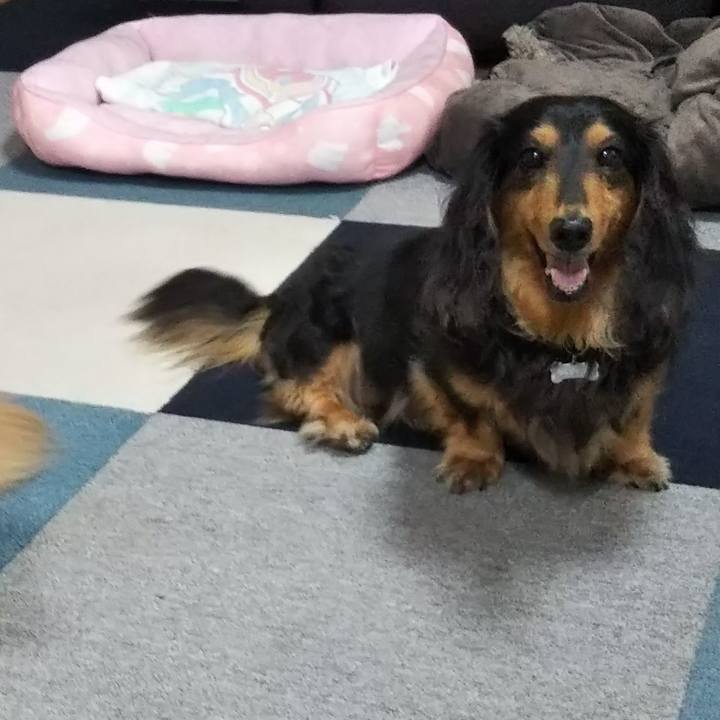 781e1f89 af7f 48be a02e 269a9ef424f2 1606948496781