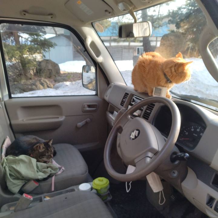 781e290c d464 48a3 8e39 5dc5e3901b1f 1773477112516