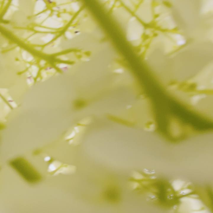 781ee847 a800 4e58 bea1 96afeb1ece0d 1686049012150