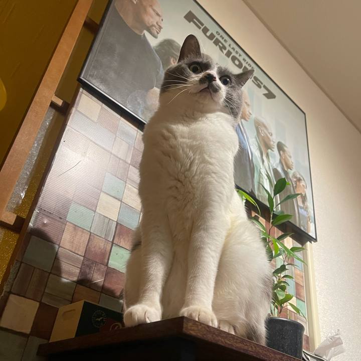 781f0237 a3ab 4e3d a471 0465c9fdf50b 1734942234261