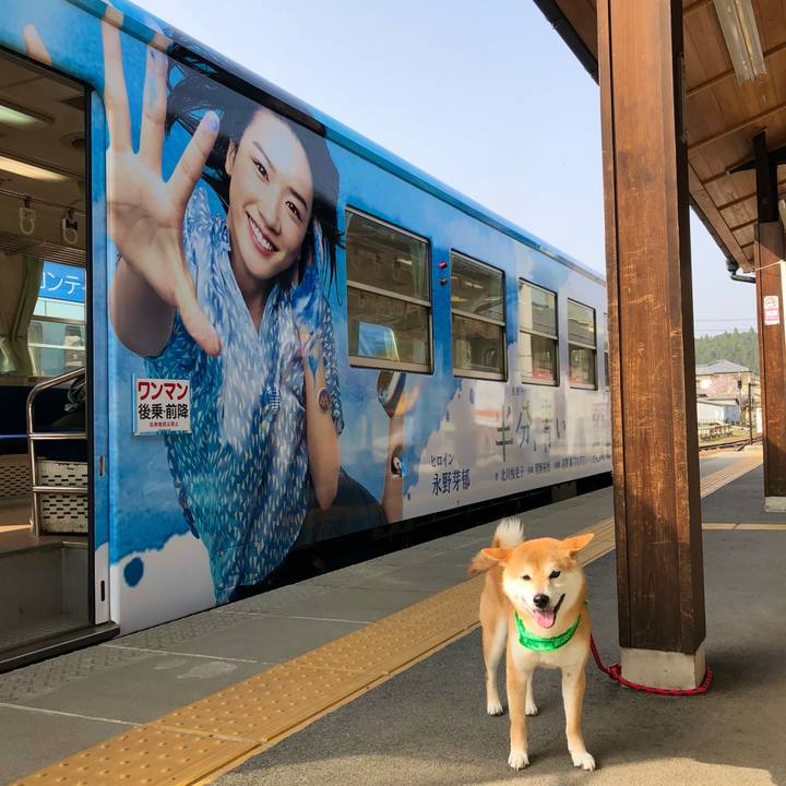 781f14e3 1d62 43bf 8fc5 fb965b2dda30 1734088572023