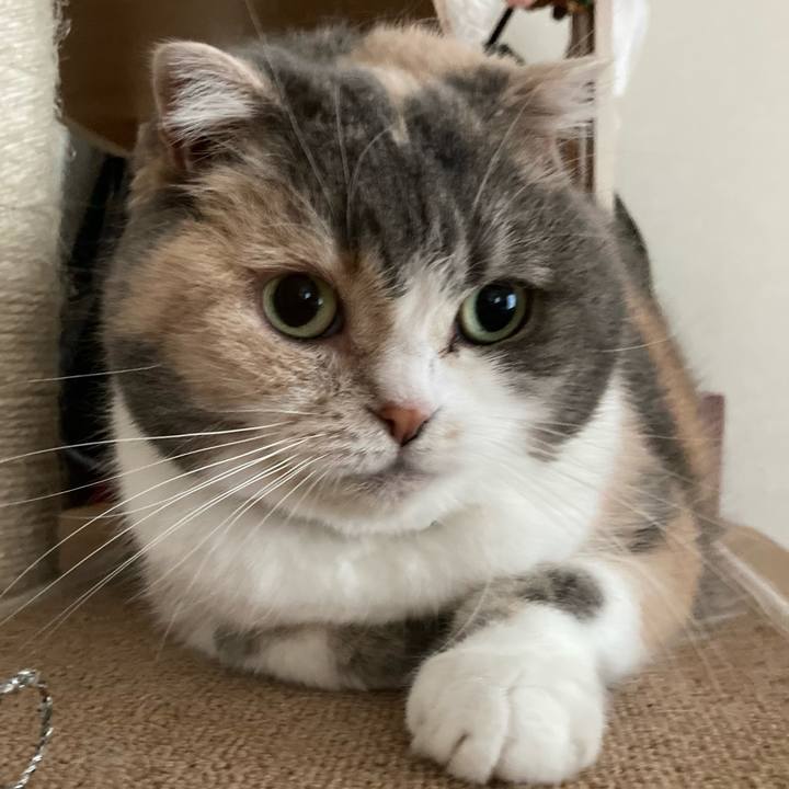 781f230e e802 4f26 b45b 2bb262bafc21 1622105191417