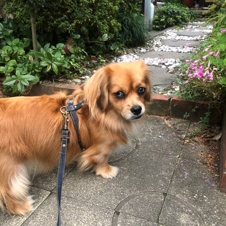 781f75a3 4d11 4fff 817d 934caf1654d6 1541714919305