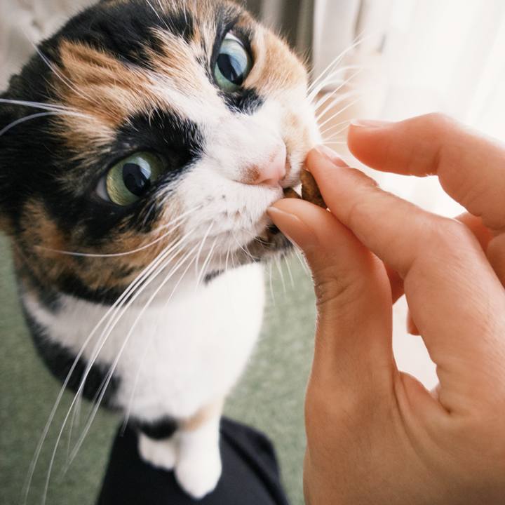 781f9e80 e3f0 4abe 8360 96fa476b0040 1760392354178