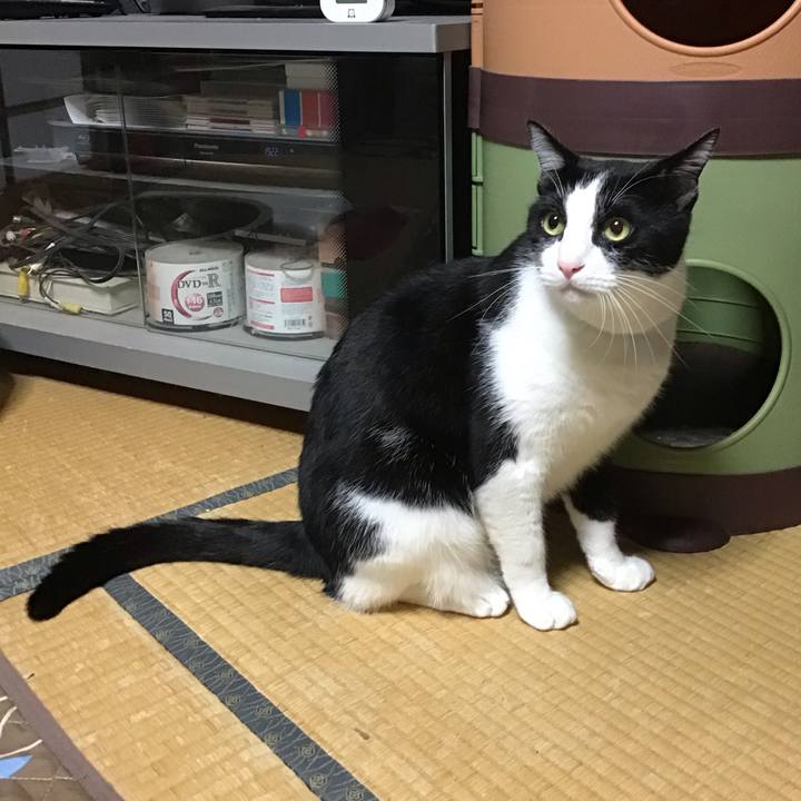 7820008e ef24 4422 9ca2 18d0797ad3ce 1727778315551