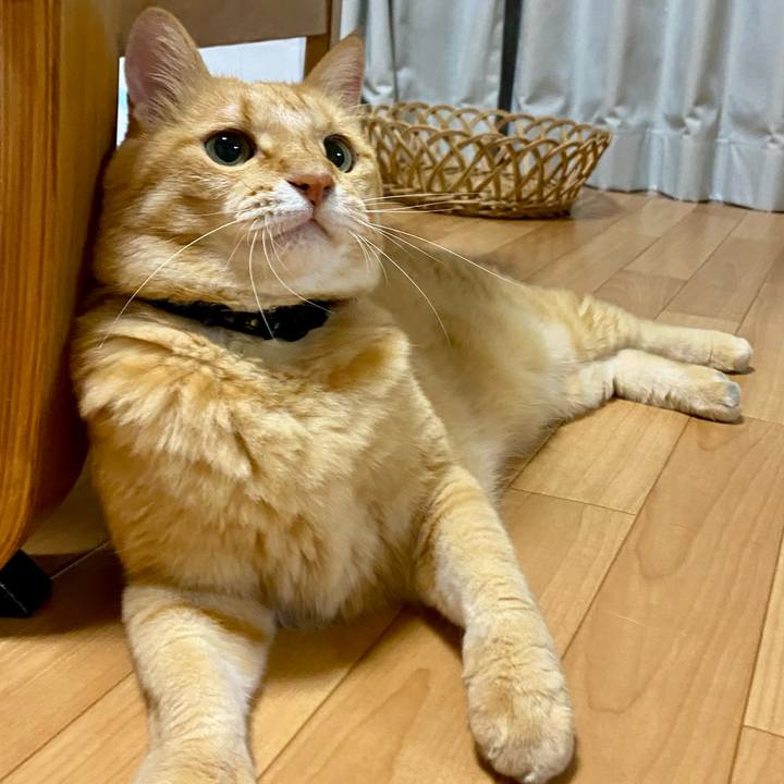 78200e07 c783 4c56 8f5a 05e68dec44bb 1756204086947