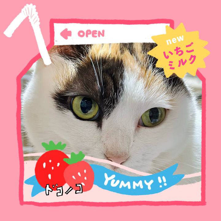 7820361e 21b8 4451 8509 fd8e247a3e09 1711159926609