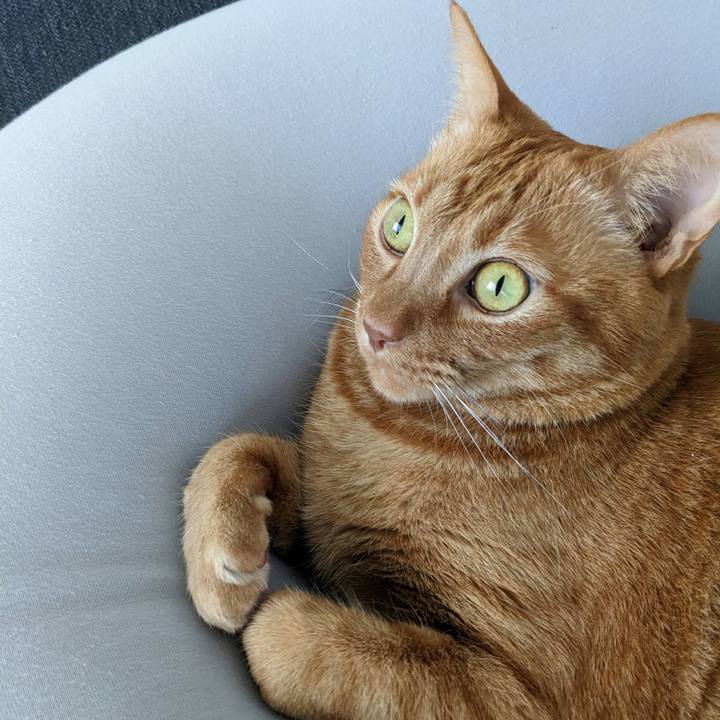 78203c92 bd90 4e9c 8c1f dc0d4161d1e5 1671839414835