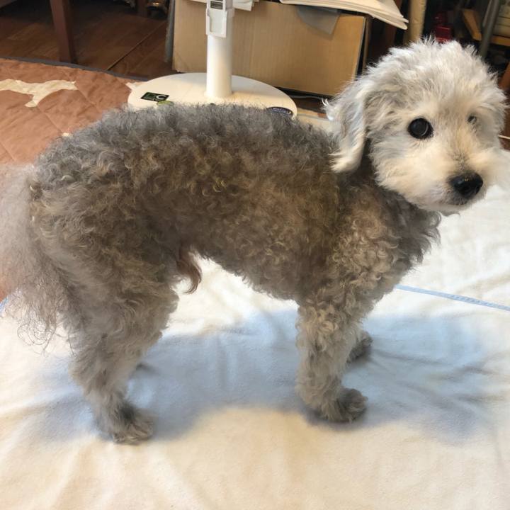 782073bd 99f3 4590 8c98 d934fabbafc8 1594599205986