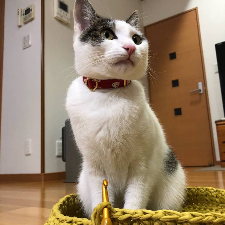 78207490 fb92 4f40 b529 80d2181622f5 1588156087774