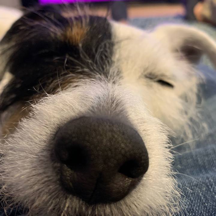 78207a73 aa2f 48b4 b14a f6f59fa9019f 1588752450411