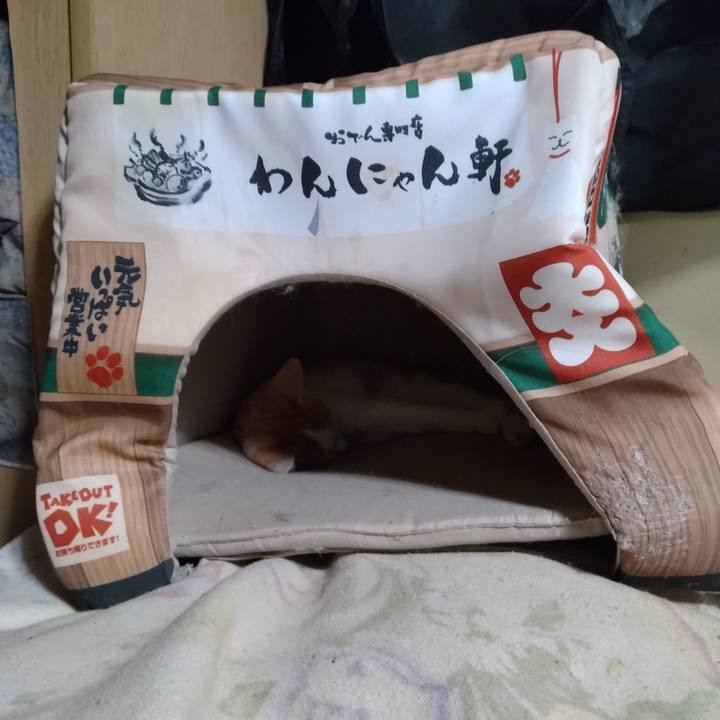 78208aec 5760 4dfa 941f 6675d1d9b16c 1728562655303