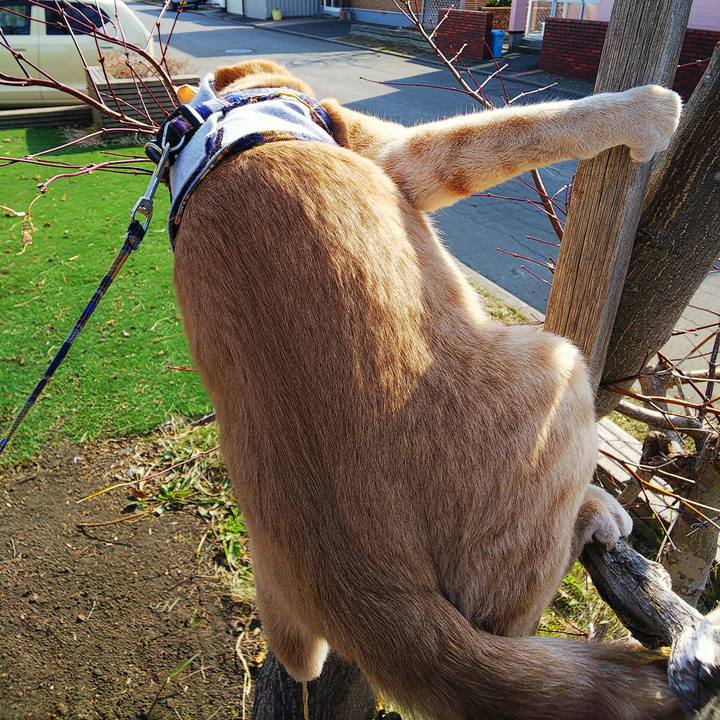 7820cfe4 0b9c 4f08 be94 a2eefb13acab 1587167562712