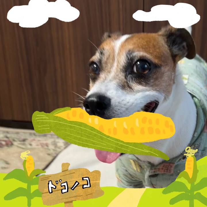 7821334c 1a7b 42b3 aa3b 7ce7b8690565 1786701203451