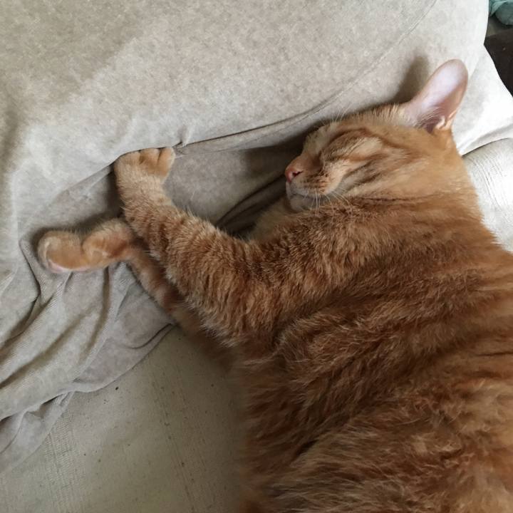 782137f1 02be 4e49 a799 9926bad6fddd 1536924621792