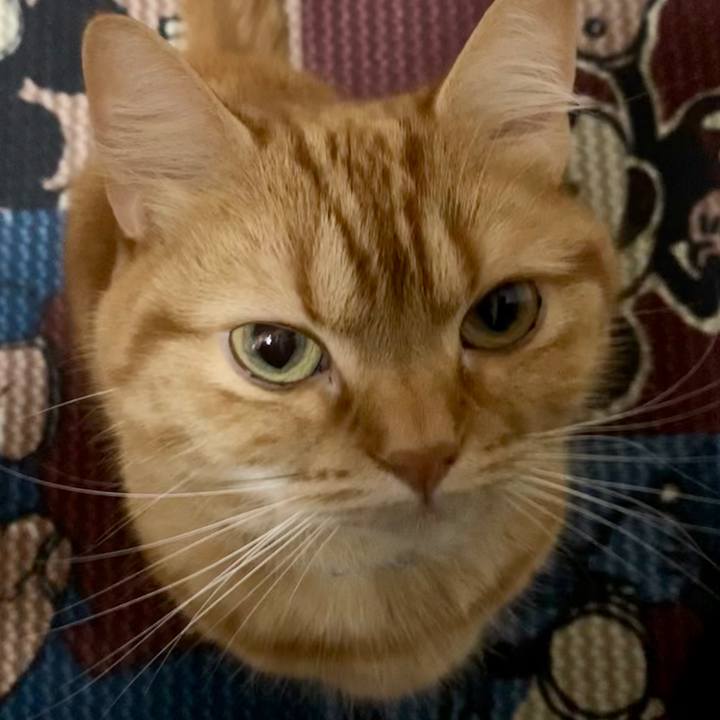 78214dd5 b7a3 4560 85aa 65ec975236a2 1589105423926