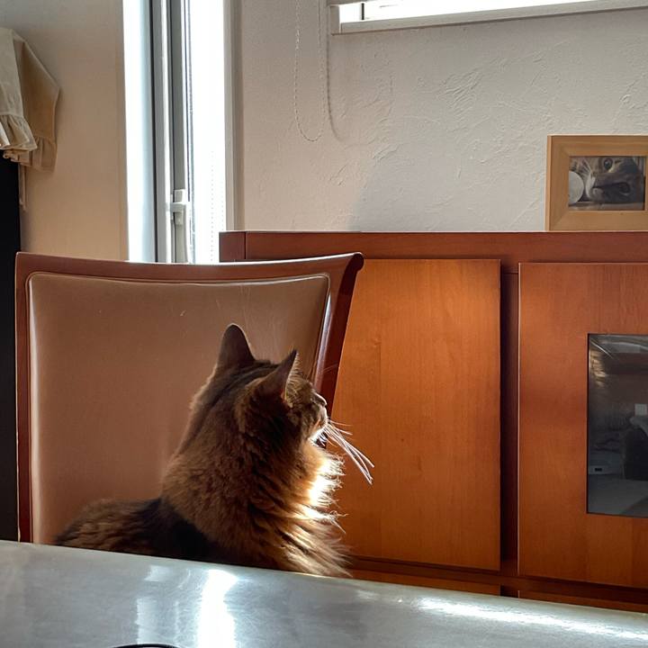 7821cdd5 9d8e 46bf 93bd f1be5127c938 1750923795253