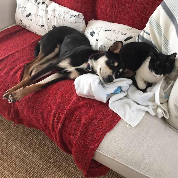 7821e7da 3eb9 4428 8c16 d7afea129774 1522300738977