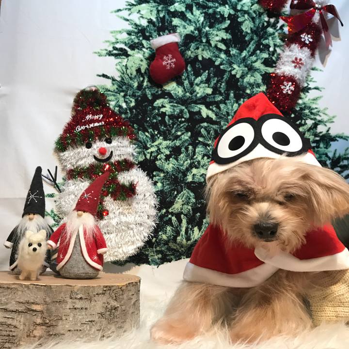 78221c53 685b 4fea be0b 5351381be5ab 1545625713293