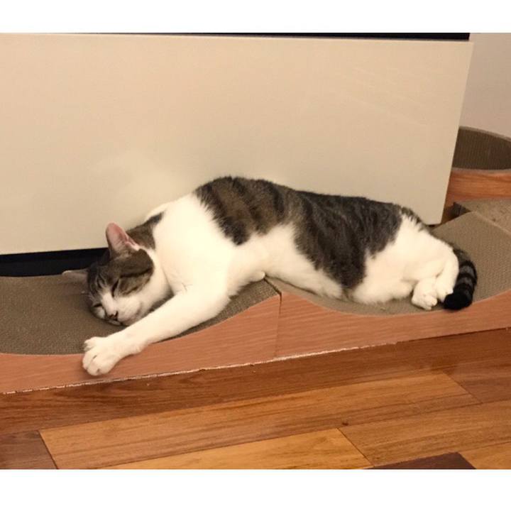 78222646 a613 44e8 8ea0 44f510131bfe 1557400011023