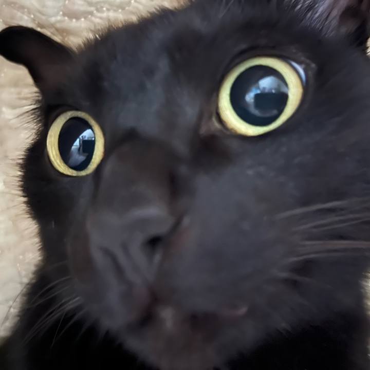 782272cb 0dcd 4d02 a011 a6d59468ed08 1687738332902