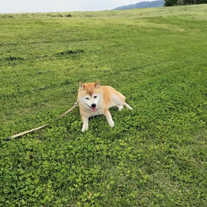 78229331 af1f 496a 99b5 f3e734451ba2 1653028424022