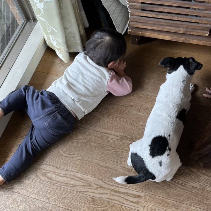 7822a966 2ce2 446e a76a ed247688a3ec 1737378313017