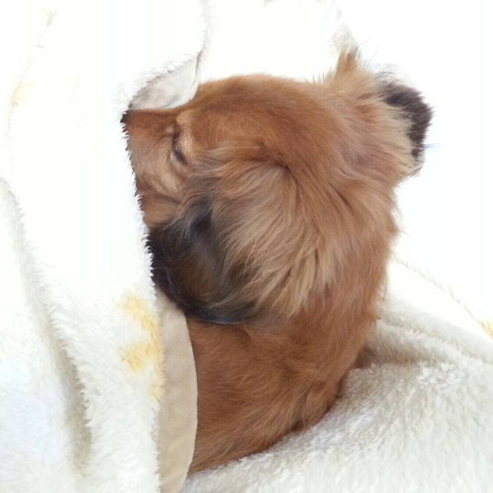 7822f60e ff0b 4301 9882 e69494f69423 1518429254923