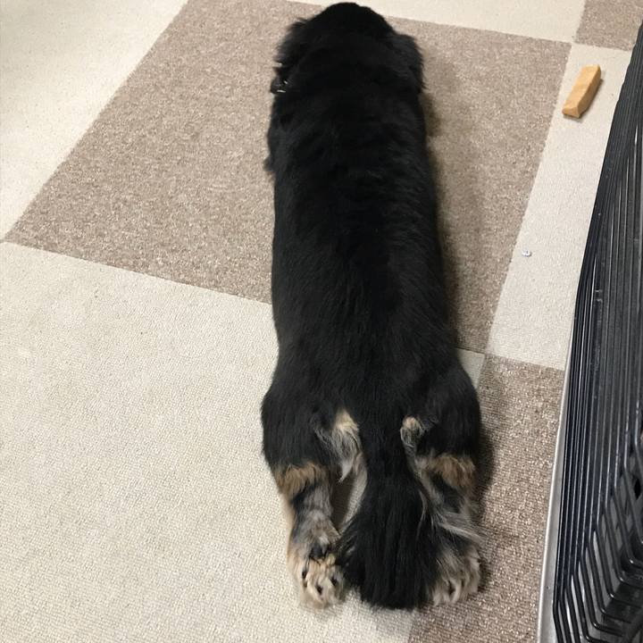 78230420 fb39 481d bcb9 42f5d70f825c 1511045509062