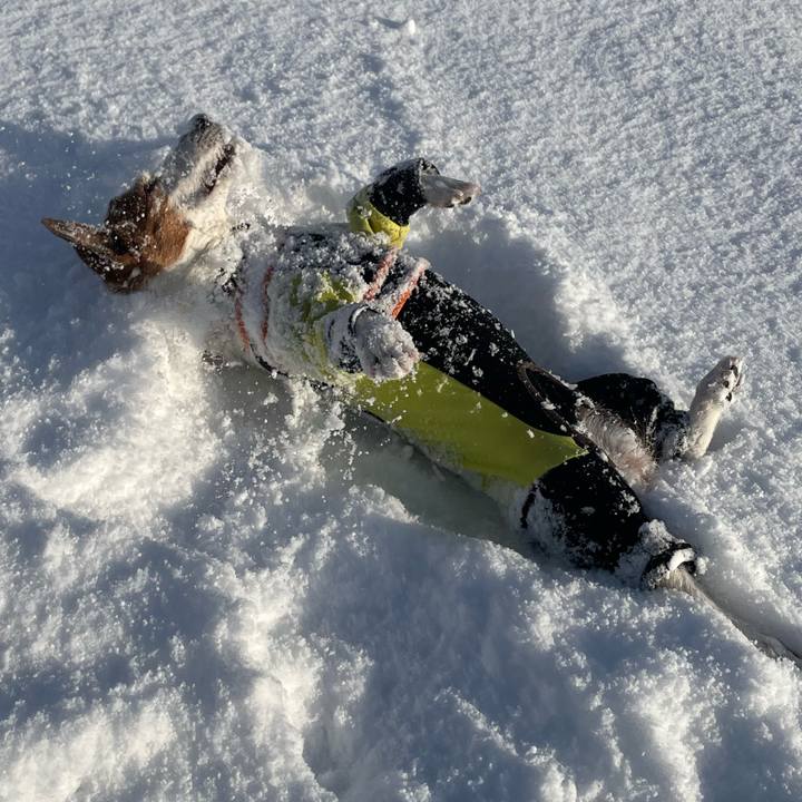 78232e89 2d54 45fe b7b6 727944e57584 1768954579391