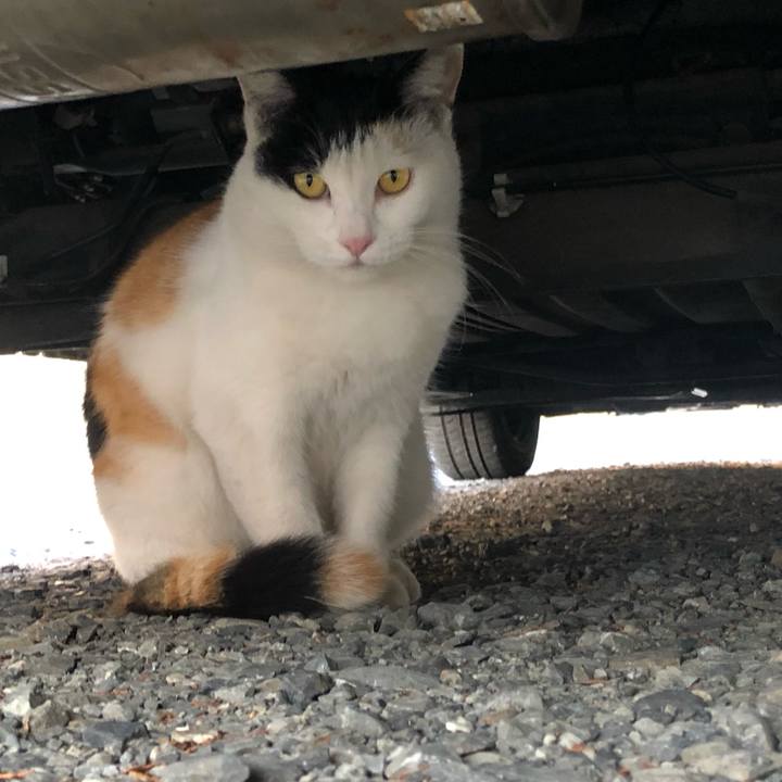 782346a4 20f9 4759 90f8 a409264b88aa 1603145835573