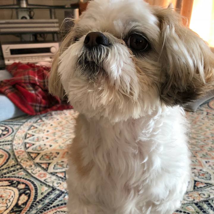 78237320 5df4 42a7 9d7d 5ebcf75bed1b 1519076491039