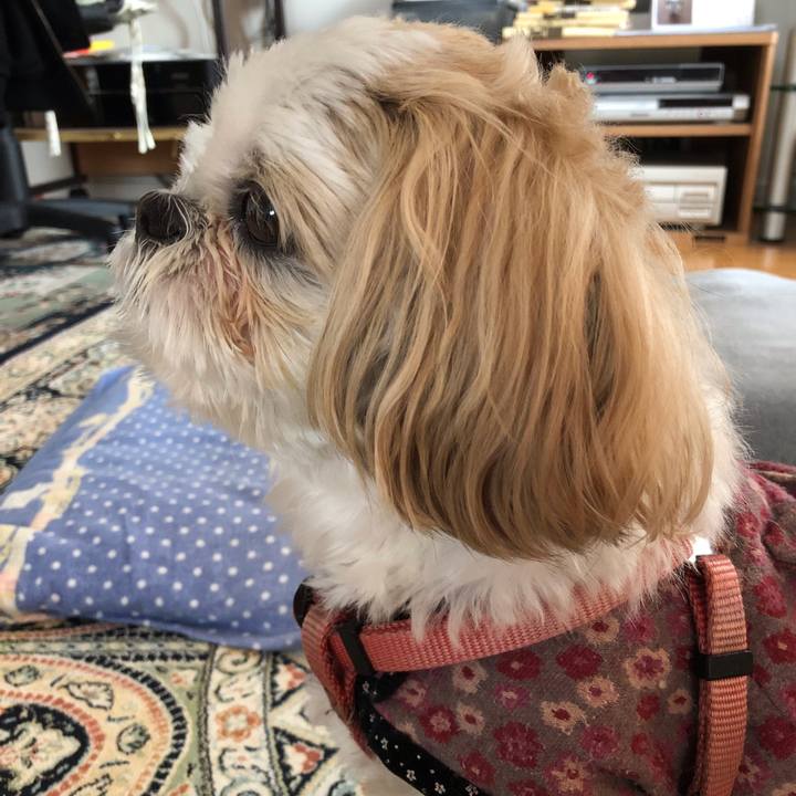 7823787f 8045 4f22 bb85 a03c2c320b6c 1543711166116