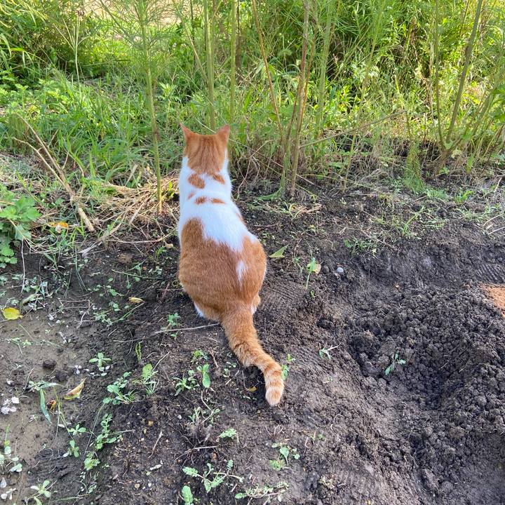 7823c0d2 bf44 4e45 a123 f36b7098777e 1600077925676