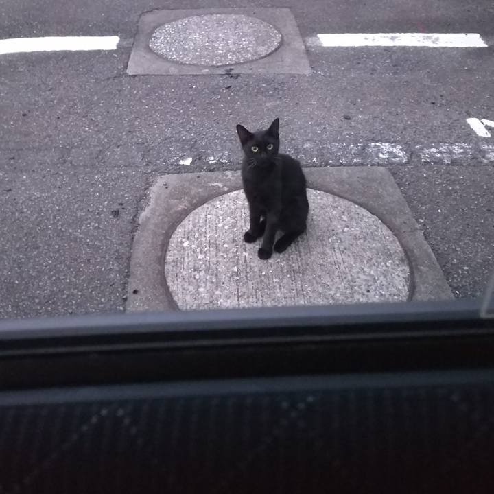 7823c24f 5ff9 40a1 9686 6b7ed7dbc64e 1568196297641