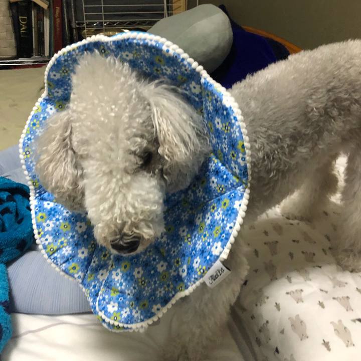 7823c8c6 8258 4641 8010 0c173dcaf778 1658578011014