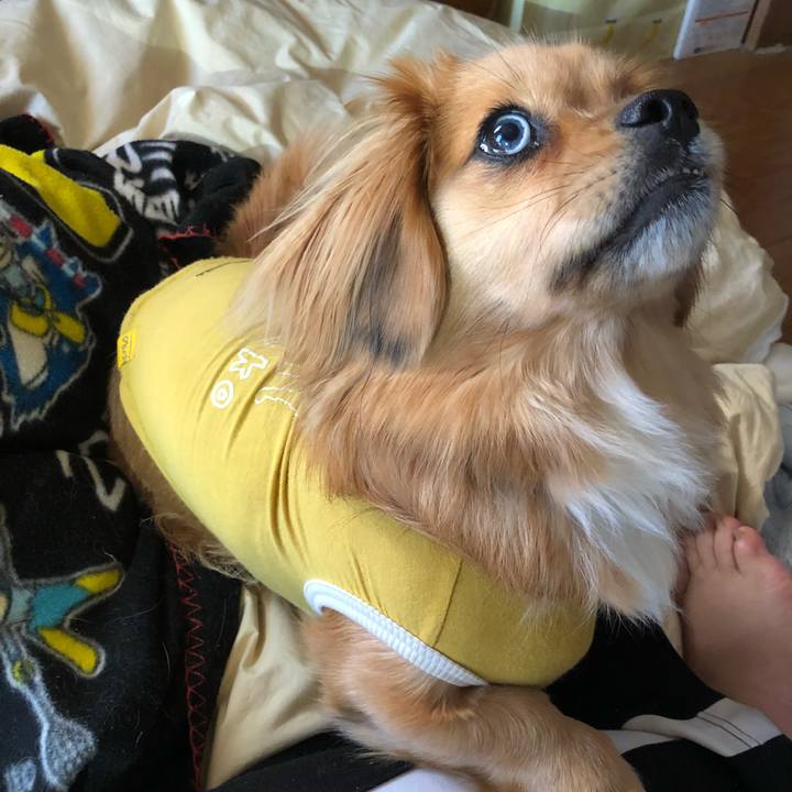 7823ccf1 fe47 48ec 8cfd f509018f5a4f 1522013363390