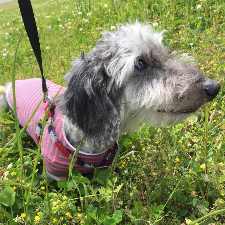 7823fb4d fbb5 4e74 88c8 b8859aee3ae9 1620105239049