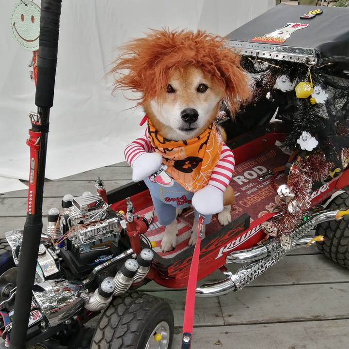 78241c7a 7403 4b40 ab63 1ba64feba78c 1666431867058