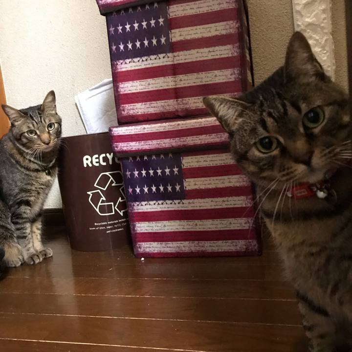 7824333f 61b5 4028 93a1 d39249063049 1586453944562