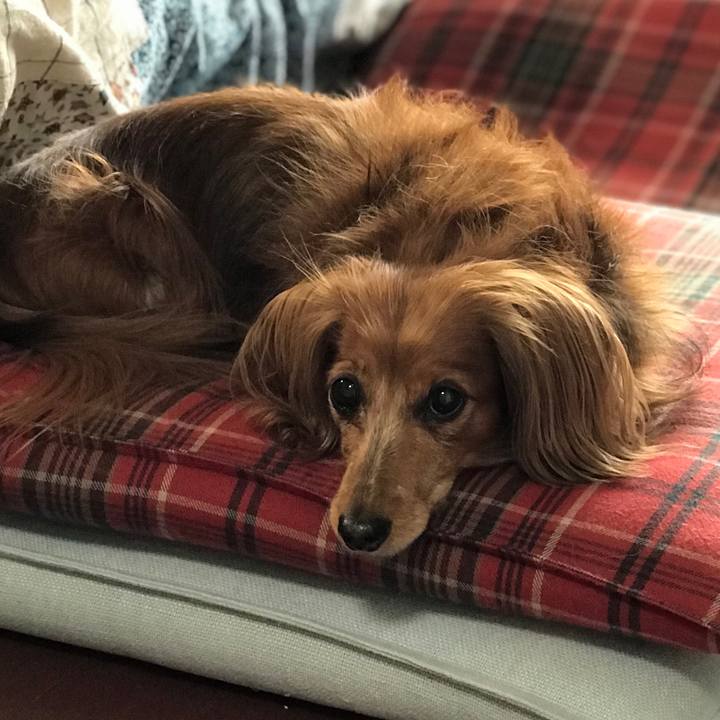 78243452 018e 40df be39 e7faf49826b6 1578797611486