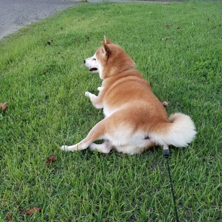 782434d7 1e5b 4711 9aa0 565c0d73ab04 1632213722776