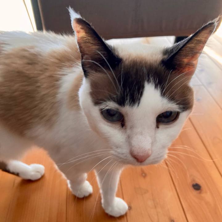 78245679 8505 4fb3 978a b0716d18df94 1675568282902