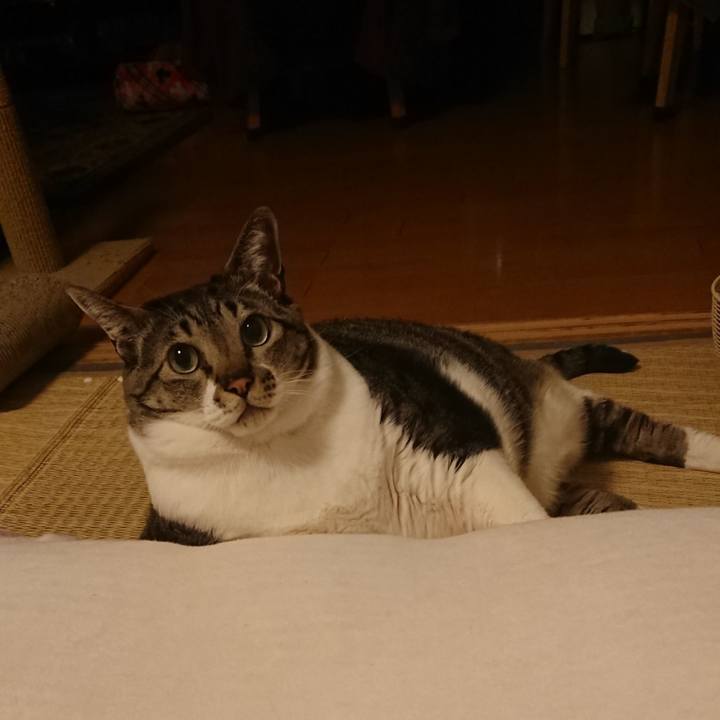 782478e9 b8d6 4a2e b159 9e06aee07990 1551019386127