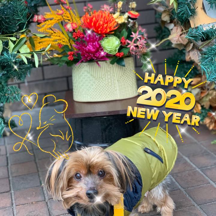 782480a1 9a0d 4dba bea0 27d799e953cd 1577827046292