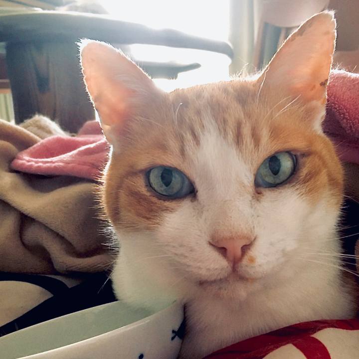 78249966 638c 4bba b2a9 1d6401b34ca6 1582360902723