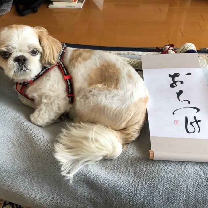 7824a5df 9062 4719 b17c 2adefae50910 1558302102403