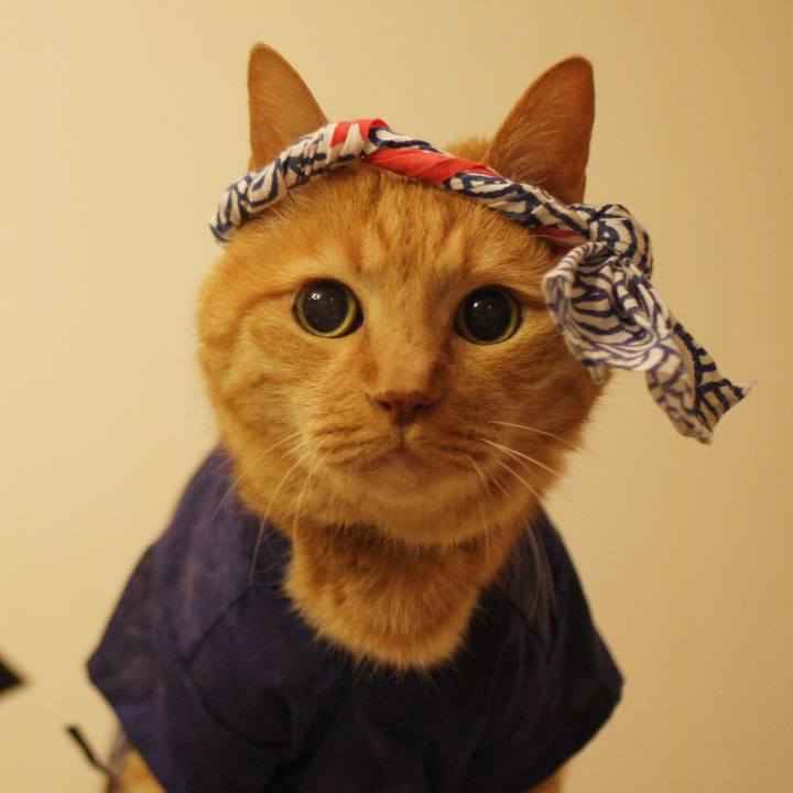 7824bd34 a935 4175 a851 67ce0249e1da 1720309363639